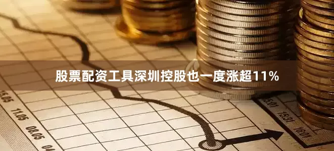 股票配资工具深圳控股也一度涨超11%