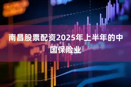 南昌股票配资2025年上半年的中国保险业