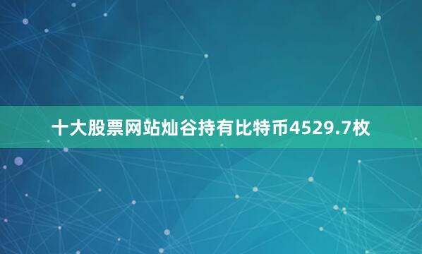 十大股票网站灿谷持有比特币4529.7枚