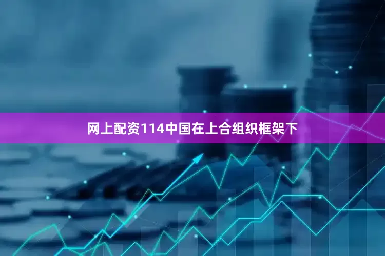 网上配资114中国在上合组织框架下