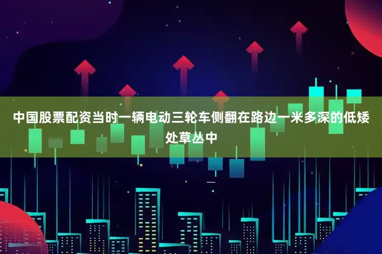 中国股票配资当时一辆电动三轮车侧翻在路边一米多深的低矮处草丛中